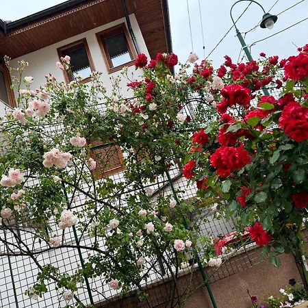 Imas Apartment 塞拉耶佛 外观 照片