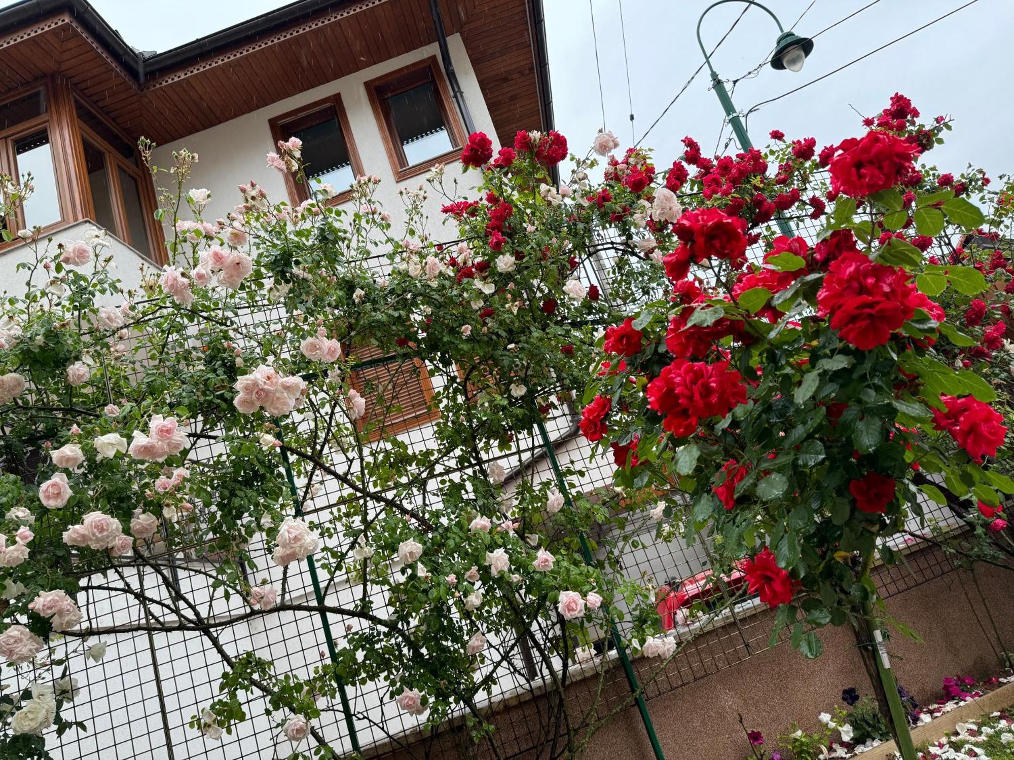 Imas Apartment 塞拉耶佛 外观 照片